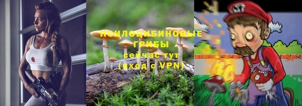 прущие крисы Алзамай