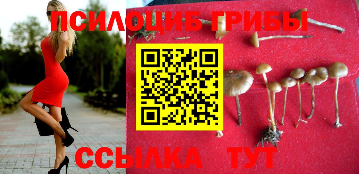 Кандалакша  Галлюциногенные грибы мухоморы  Вход с VPN  Галлюциногенные грибы мицелий 